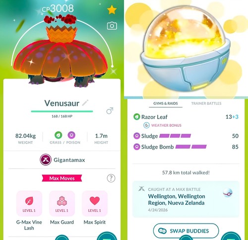 Pokémon scelta trinket - pokémon, +