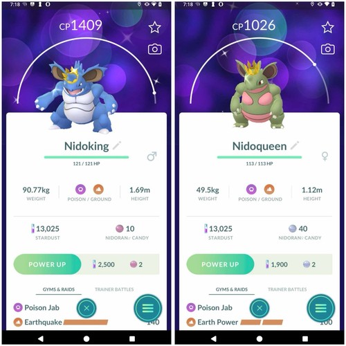 Costume shiny nidoking - costume,