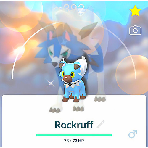 Shiny rockruff - rockruff, &
