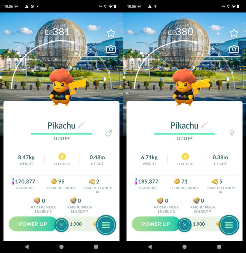 Shiny pikachu - ✨,