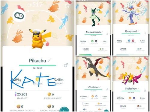 Pikachu lucido charizard - ✨pikachu,