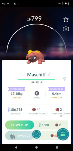 Pokémon ptc maschiff - go,