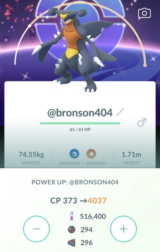 Pokemon livello 50 - livello, shiny
