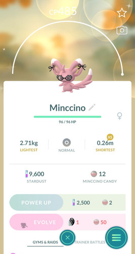 Minccino lucido alla - ✨minccino, moda