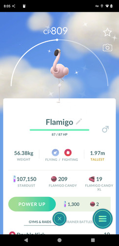Lucido flamigo tr de - lucido,
