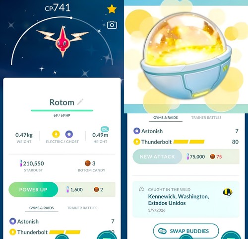 Pokémon scelta trinket - scelta,
