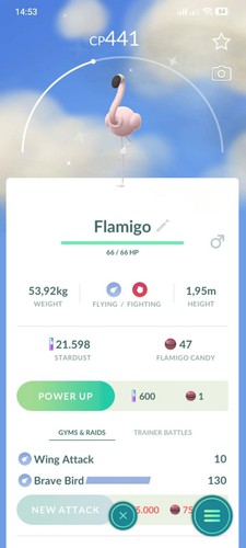 Shiny flamigo p - shiny, c