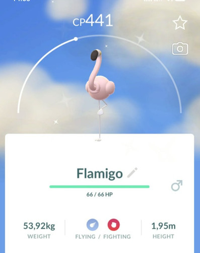 Pokémon shiny flamigo - -, p