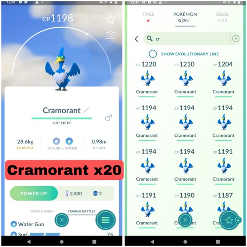 Pokémon ptc cramorant - cramorant, x20