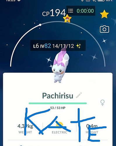 Pachirisu lucido p - -,