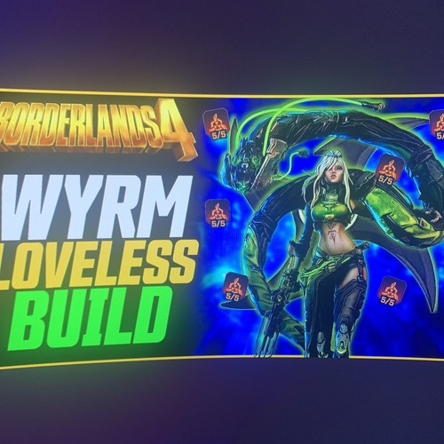 Borderlands lvl 70 - 4⭐️lvl,